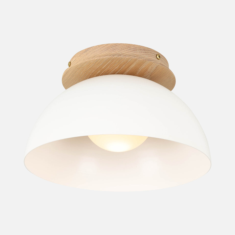 Cornsilk Oak, White Shade