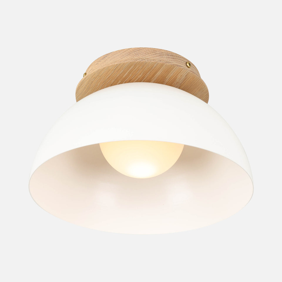 Cornsilk Oak, White Shade