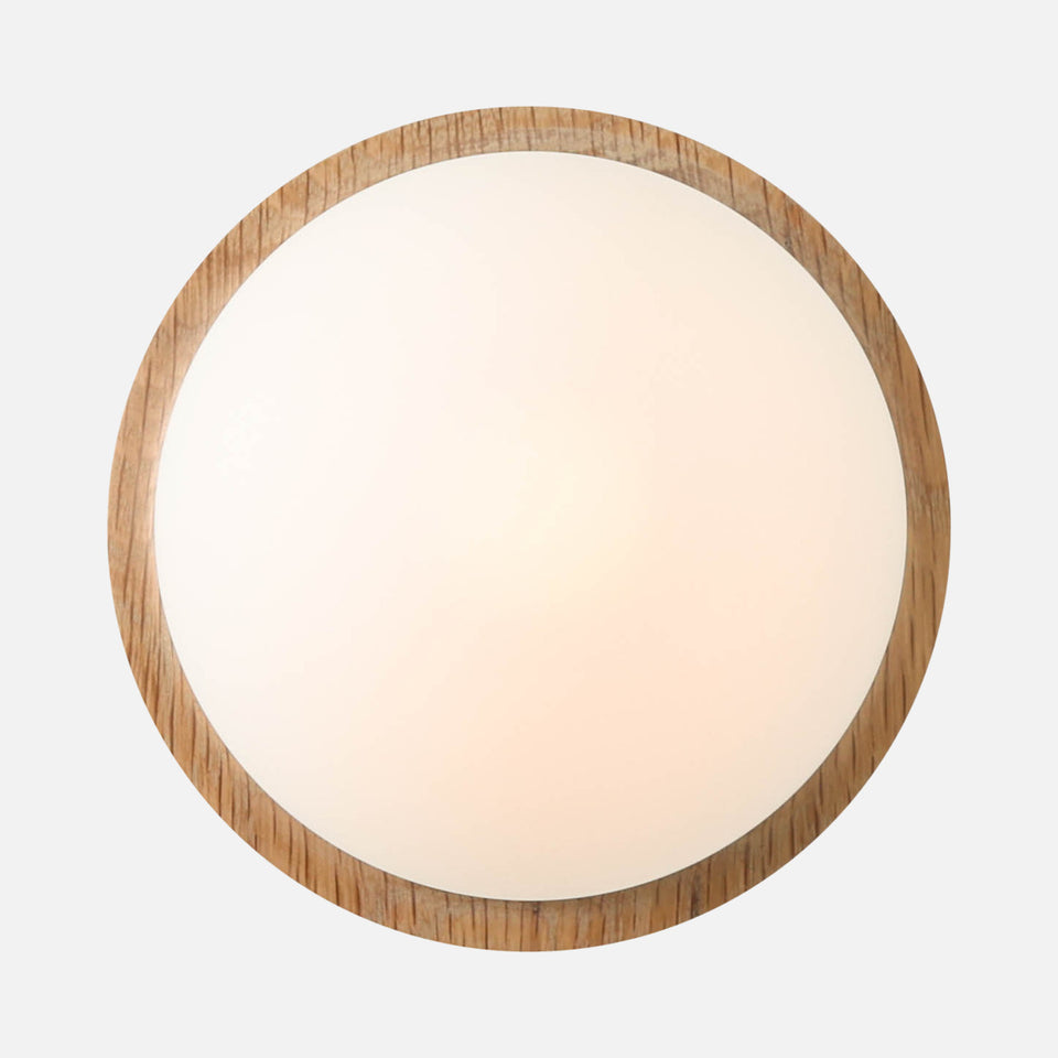 Cornsilk Oak
