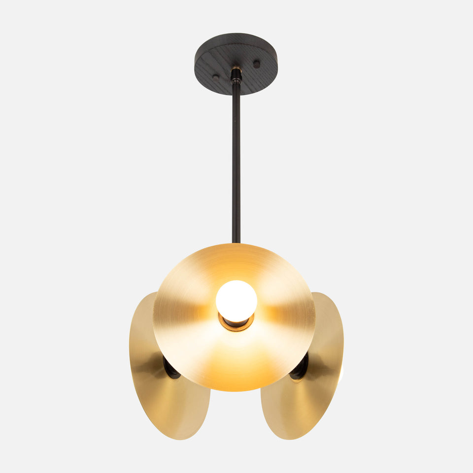 Black Ash, Matt Black Arms, Classic Brass Shades